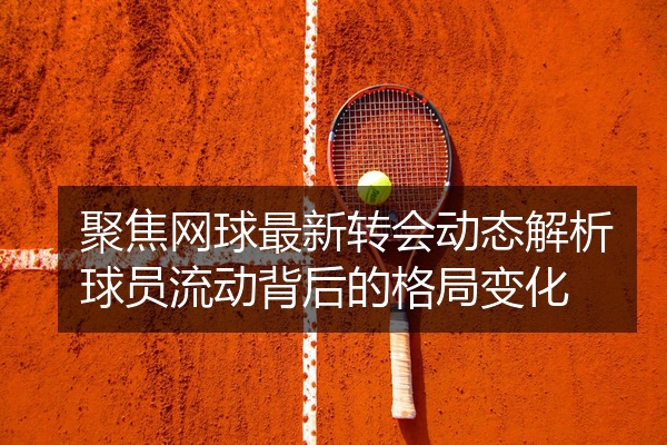 聚焦网球最新转会动态解析球员流动背后的格局变化