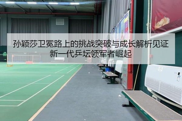 孙颖莎卫冕路上的挑战突破与成长解析见证新一代乒坛领军者崛起