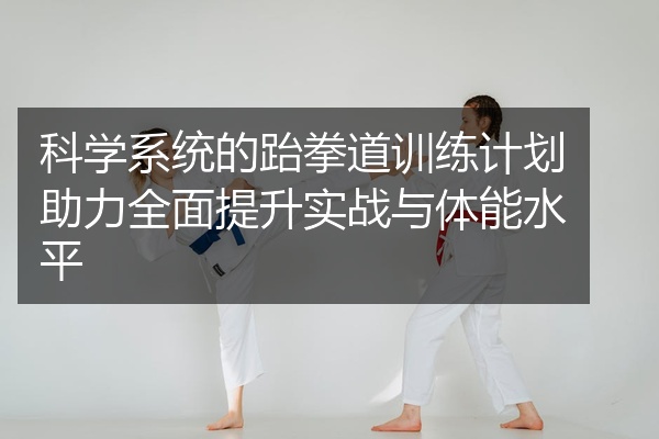 科学系统的跆拳道训练计划助力全面提升实战与体能水平