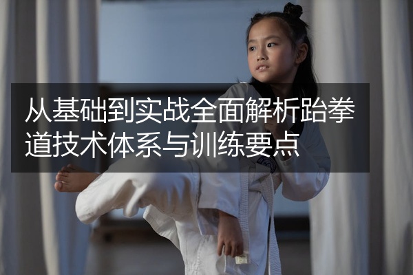 从基础到实战全面解析跆拳道技术体系与训练要点