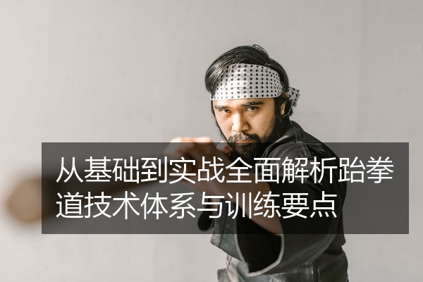 从基础到实战全面解析跆拳道技术体系与训练要点