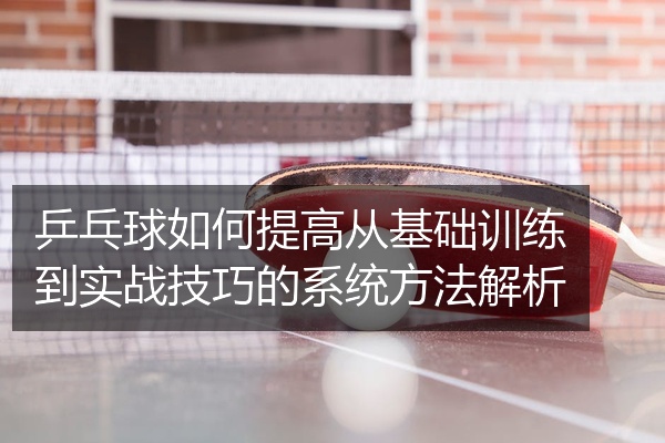 乒乓球如何提高从基础训练到实战技巧的系统方法解析